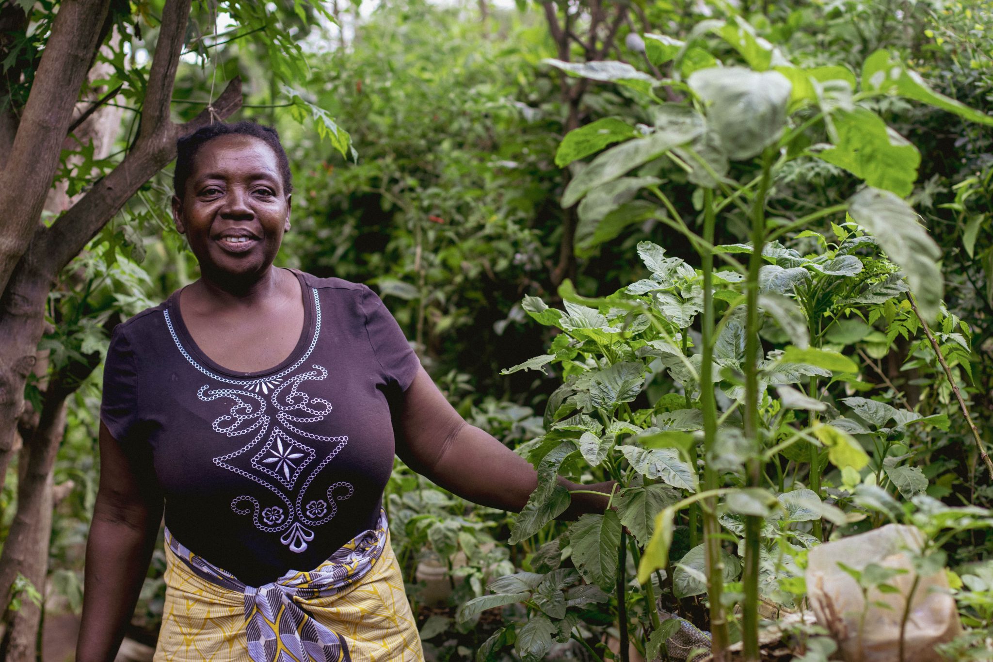 Coastal woman tending a kitchen garden - Kilifi County, Kenya